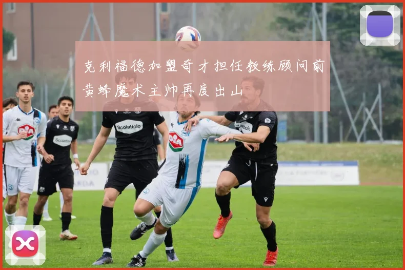 克利福德加盟奇才担任教练顾问前黄蜂魔术主帅再度出山