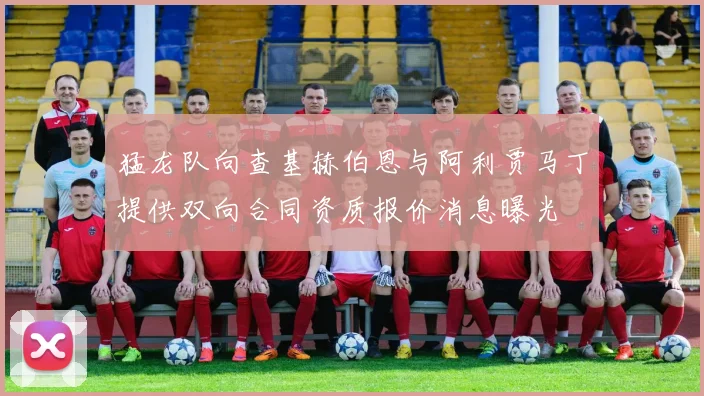 猛龙队向查基赫伯恩与阿利贾马丁提供双向合同资质报价消息曝光